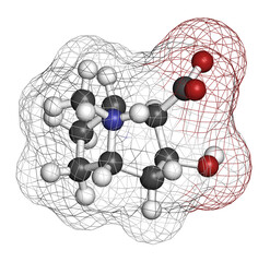 Ecgonine coca alkaloid molecule. Metabolite of cocaine. 3D rendering. Atoms are represented as spheres with conventional color coding: hydrogen (white), carbon (grey), oxygen (red), nitrogen (blue).