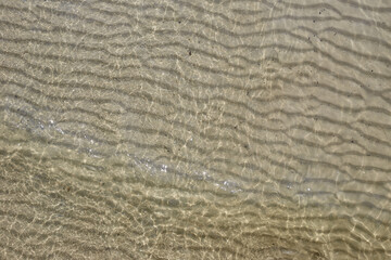 Woman using app on smartphone in cafe