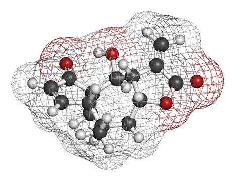 Helenalin sesquiterpene lactone molecule. Toxin found in Arnica montana. 3D rendering. Atoms are represented as spheres with conventional color coding: hydrogen (white), carbon (grey), oxygen (red).