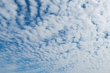 Altocumulus cloudscape on blue blue sky, Beautiful Cirrocumulus or Altocumulus on the middle altitude layer