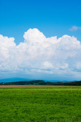 草原と夏空