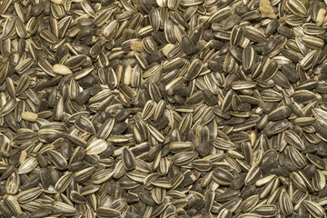 Sunflower seeds