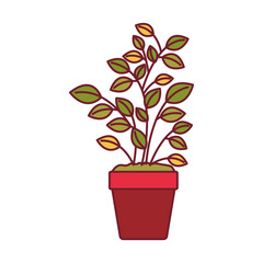 colorful graphic of plant pot with dark red line contour vector illustration