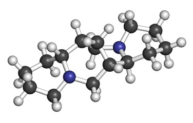 Sparteine scotch broom alkaloid molecule. 3D rendering. Atoms are represented as spheres with conventional color coding: hydrogen (white), carbon (grey), nitrogen (blue).
