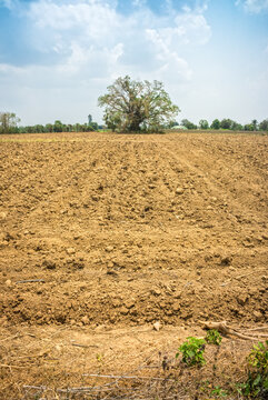 Tillage area for cultivation in Thailand. Loosens and aerates the top layer of soil for agricultural preparation of soil.