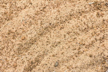 Texture of the soil, soil texture,