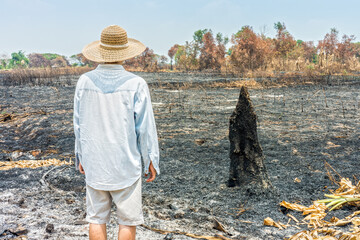 Poor farmer looking to his burnt agricultural field. The area was damaged from bushfire.