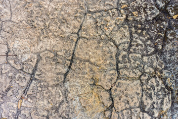 Pattern on the rock for background and texture. The erosion of wind and water on surface.