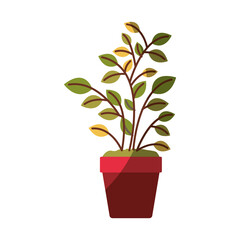 colorful graphic of plant pot without contour and half shadow vector illustration