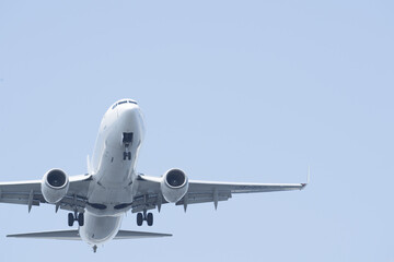 Flighted airliner