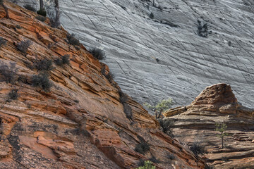 Zion National Park Checkerboard Geology
