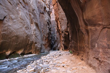 Hiking the Narrows in Zion National Park Utah