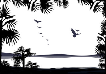 Palms and sand. Illustration for your design