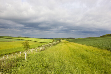 Fototapeta na wymiar yorkshire wolds meadows