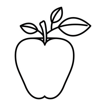 sketch silhouette image apple fruit with stem and leaves vector illustration