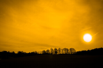Obraz premium Sunset landscape, sun on the sky and trees silhouettes..