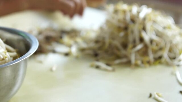 Out of focus view of cook's hands pinching roots off fresh mung bean sprouts in background
