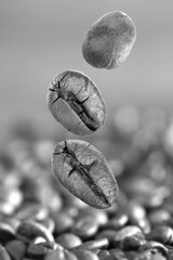 Coffee seeds in art visual / Blurred and Selective focus.Coffee seeds in art visual / Blurred and Selective focus, adjustment black and white..
