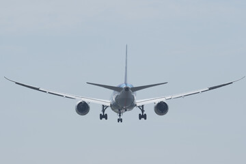 Level flight