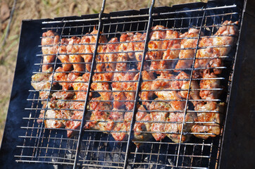 Skewers Of Meat Summer Holiday Nature