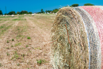 Hay Bales in spring - Tuscany, Italy