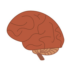 brain cartoon illustration vector design icon graphic