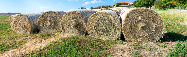 Panoramic landscape view of hay bales, Tuscany in spring