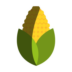 vegetables flat illustration icon design vector graphic