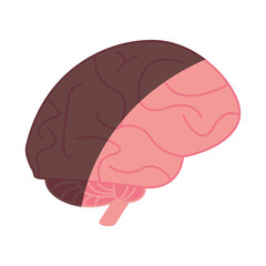 brain cartoon illustration vector design icon graphic shadow