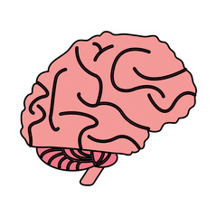 brain cartoon illustration vector design icon graphic