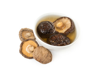 Dried shiitake mushrooms before cooking. Soak a puffy and soft. In order to have an easy time slicing or cutting. Dried mushroom on the floor, shiitake dried soaked in white cup. (with clipping path)