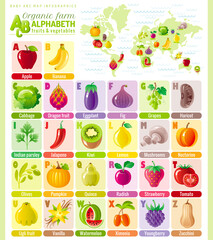 Alphabet food infographics. Fruit, vegetable, berry, spice icon set. Baby cartoon cute modern template. Vector ABC illustration, world map, back to school education design. Apple, pumpkin, tomato, fig