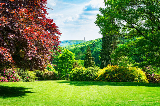 Spring green park