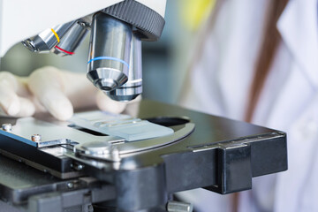 Scientist hands with microscope, examining samples