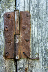 old tree wood hinge