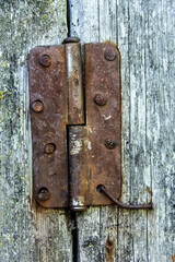 old tree wood hinge