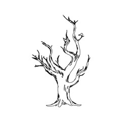 Dry tree silhouette icon vector illustration graphic design