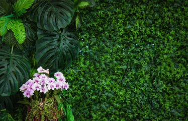 Backdrop flower background flower