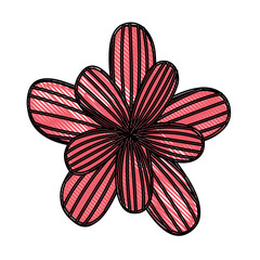 cute flower drawing decorative vector illustration design