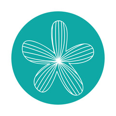 cute flower drawing decorative vector illustration design