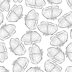 A beautiful butterfly flying. Seamless pattern with insects. Black and white Wallpaper.