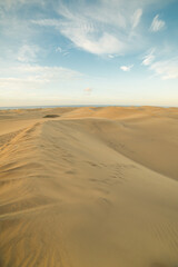 Obraz na płótnie Canvas desert 