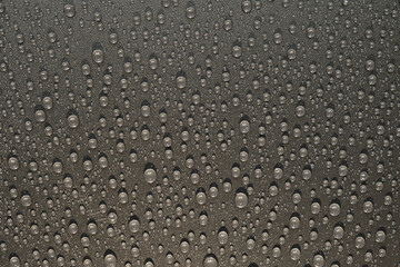 water drops on black background. Macro.