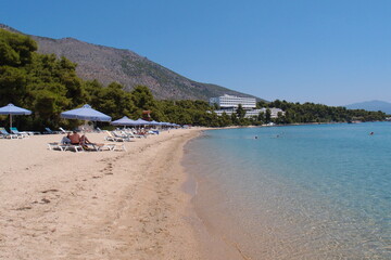 Fototapeta na wymiar Photo of Gregolimano beach with clear waters in North Evoia, Greece