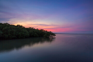 Fototapeta na wymiar Mangrove forest on sea in Thailand