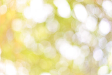 Obraz premium Bokeh background.