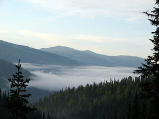 Morning haze in the taiga valley