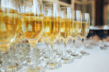 Many glasses of champagne in a row on the bar