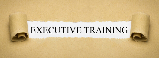 Executive Training