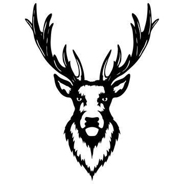 Isolated illustration of a deer head